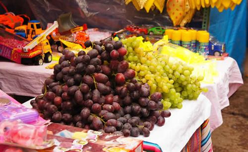 Thưởng thức những trái nho dịp Tết là một trong những nghi thức nổi tiếng của Peru Thưởng thức những trái nho dịp Tết là một trong những nghi thức nổi tiếng của Peru