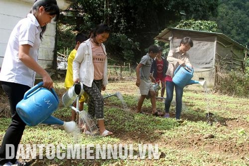 Các em học sinh xã Pa Vệ Sử, huyện Mường Tè (Lai Châu) về trường ăn ở, vun luống trồng rau để cải thiện bữa ăn. Ảnh: Việt Hoàng – TTXVN