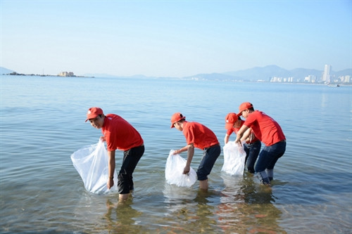 Festival biển Nha Trang - Khánh Hòa 2017: Nhiều hoạt động xã hội, bảo vệ môi trường ảnh 1