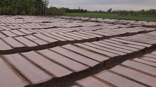 Làng nghề làm bánh tráng Tết cho thu nhập cao ở Cần Thơ ảnh 8 Làng nghề làm bánh tráng Tết cho thu nhập cao ở Cần Thơ ảnh 8