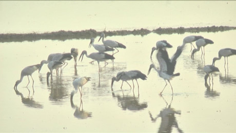 Ảnh minh họa. Nguồn ảnh: internet Ảnh minh họa. Nguồn ảnh: internet