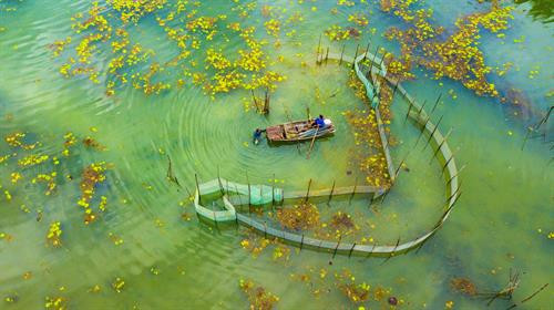 Khu bảo tồn thiên nhiên Vân Long. Ảnh: Minh Đức - TTXVN Khu bảo tồn thiên nhiên Vân Long. Ảnh: Minh Đức - TTXVN