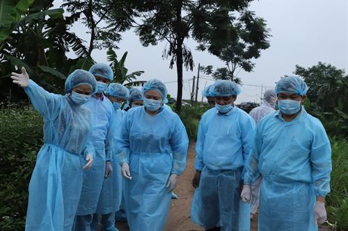 Vận chuyển lợn bệnh đi tiêu hủy ở xã Tự Nhiên, huyện Thường Tín. Phó Bí thư Thường trực Thành ủy Hà Nội Ngô Thị Thanh Hằng trực tiếp đi kiểm tra hố chôn lấp lợn bị nhiễm dịch phải tiêu hủy. Một điểm chôn lấp đã được đánh dấu, ghi chép và lưu giữ thông tin tại Ủy ban Nhân dân xã Tự Nhiên, huyện Thường Tín. Phó Bí thư Thường trực Thành ủy Hà Nội Ngô Thị Thanh Hằng kiểm tra công tác phòng, chống dịch tả lợn châu Phi tại chốt kiểm dịch xã Tự Nhiên, huyện Thường Tín.