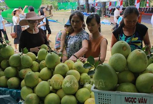 Sản phẩm thanh trà được người tiêu dùng rất ưa chuộng. Ảnh: Hồ Cầu-TTXVN Sản phẩm thanh trà được người tiêu dùng rất ưa chuộng. Ảnh: Hồ Cầu-TTXVN