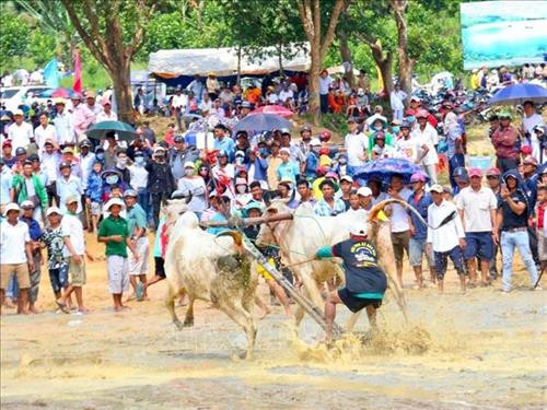Hội đua bò Bảy Núi hàng năm thu hút hàng ngàn khách du lịch khắp cả nước đến xem và cổ vũ cho các đội đua. Ảnh: Thanh Sang – TTXVN Hội đua bò Bảy Núi hàng năm thu hút hàng ngàn khách du lịch khắp cả nước đến xem và cổ vũ cho các đội đua. Ảnh: Thanh Sang – TTXVN