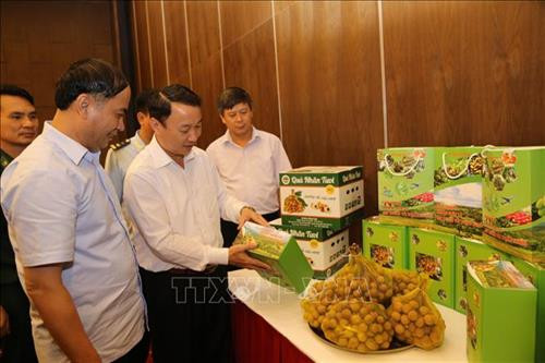 Đại diện lãnh đạo UBND hai tỉnh Lạng Sơn và Sơn La kiểm tra bao bì sản phẩm nhãn xuất khẩu. Ảnh: Quang Duy – TTXVN Đại diện lãnh đạo UBND hai tỉnh Lạng Sơn và Sơn La kiểm tra bao bì sản phẩm nhãn xuất khẩu. Ảnh: Quang Duy – TTXVN