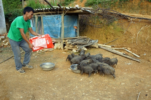 “Bà đỡ” của đồng bào nghèo ảnh 2 “Bà đỡ” của đồng bào nghèo ảnh 2