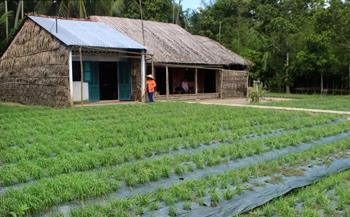 Nhờ thực hiện tốt công tác xây dựng nông thôn mới, bộ mặt nông thôn xã Vị Thủy, huyện Vị Thủy đã dần thay đổi, đời sống kinh tế của đồng bào được nâng lên