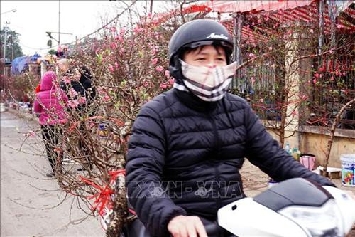 Người dân mua đào tại chợ hoa Quảng An, quận Tây Hồ. Ảnh: Khánh Hòa - TTXVN