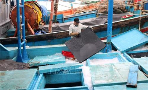 Ngư dân chuẩn bị nguyên liệu cho tàu trước khi rời cảng Hòn Rớ (thành phố Nha Trang, Khánh Hoà). Ảnh: Nguyễn Dũng – TTXVN Ngư dân chuẩn bị nguyên liệu cho tàu trước khi rời cảng Hòn Rớ (thành phố Nha Trang, Khánh Hoà). Ảnh: Nguyễn Dũng – TTXVN
