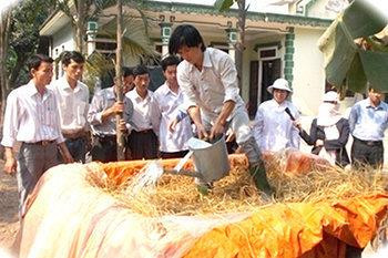 Kỹ thuật ủ rơm làm thức ăn cho gia súc. Ảnh: giongcaytrongeakmat.com