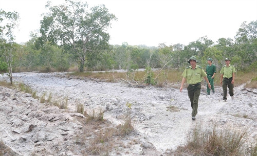 Đường băng cản lửa mới được cày ủi trên cánh rừng tràm Đồng Bà (xã Cửa Cạn, huyện Phú Quốc). Đây là một trong những giải pháp kỹ thuật phòng chống cháy rừng, nhằm cách ly, hạn chế cháy lan khi xảy ra cháy rừng. Ảnh chụp sáng ngày 01/4/2016.