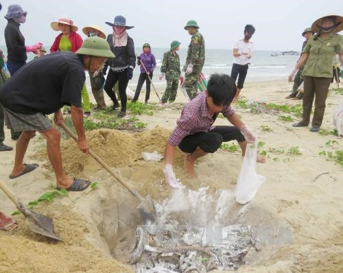 Formosa đã chuyển đủ 500 triệu USD bồi thường ảnh 1