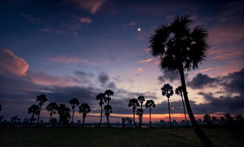 Về miền sông nước An Giang ảnh 6 Về miền sông nước An Giang ảnh 6