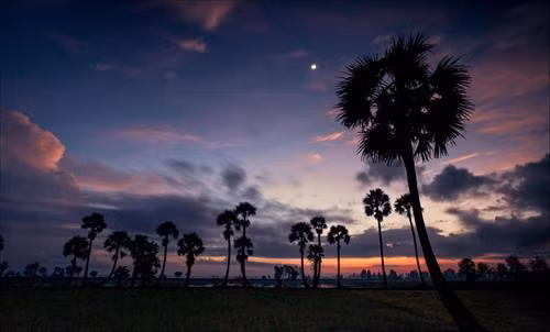 Về miền sông nước An Giang ảnh 6