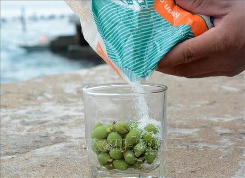 Quả tra thường được đem ngâm đường, đậy kín tạo thành si rô có vị thơm, ngọt của nho và vị mặn của biển. Ảnh: Văn Dũng – TTXVN