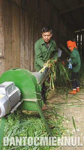 Anh Quàng Văn Phiêu mua máy cắt cỏ, ô tô, máy cày... để phục vụ sản xuất, thu mua nông sản, cày thuê cho các hộ trong bản