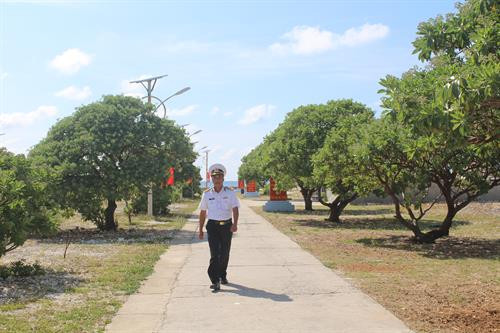 Đảo Song Tử Tây có nhiều cây xanh được phủ gần kín đảo, đáp ứng được tiêu chí "xanh, sạch, đẹp" của một đảo tiền tiêu. Ảnh: Mai Hưng - TTXVN