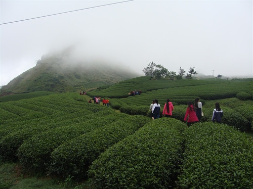 Ảnh minh họa- TTXVN