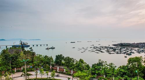 Cá khô được người dân đánh bắt về chế biến, phơi khô trên khắp các lối đi mỗi thôn xóm. Ảnh: Trọng Đạt - TTXVN Cá khô được người dân đánh bắt về chế biến, phơi khô trên khắp các lối đi mỗi thôn xóm. Ảnh: Trọng Đạt - TTXVN Bến thuyền tấp nập mỗi khi cá về vào buổi sáng hoặc chiều trên đảo Nghi Sơn. Ảnh: Trọng Đạt - TTXVN Một góc bến thuyền trên xã đảo Nghi Sơn và khu vực cầu cảng nước sâu Nghi Sơn. Ảnh: Trọng Đạt - TTXVN Bến thuyền tấp nập mỗi khi cá về vào buổi sáng hoặc chiều trên đảo Nghi Sơn. Ảnh: Trọng Đạt - TTXVN Một góc xã đảo Nghi Sơn bên biển xanh thơ mộng. Ảnh: Trọng Đạt - TTXVN Bến thuyền trên xã đảo Nghi Sơn. Ảnh: Trọng Đạt - TTXVN Nhộn nhịp bến thuyền trên xã đảo Nghi Sơn. Ảnh: Trọng Đạt - TTXVN Chiều về trên cảng cá Nghi Sơn. Ảnh: Trọng Đạt - TTXVN Cá khô được người dân đánh bắt về chế biến, phơi khô trên khắp các lối đi mỗi thôn xóm. Ảnh: Trọng Đạt - TTXVN Cá khô được người dân đánh bắt về chế biến, phơi khô trên khắp các lối đi mỗi thôn xóm. Ảnh: Trọng Đạt - TTXVN Bến thuyền tấp nập mỗi khi cá về vào buổi sáng hoặc chiều trên đảo Nghi Sơn. Ảnh: Trọng Đạt - TTXVN Một góc bến thuyền trên xã đảo Nghi Sơn và khu vực cầu cảng nước sâu Nghi Sơn. Ảnh: Trọng Đạt - TTXVN Bến thuyền tấp nập mỗi khi cá về vào buổi sáng hoặc chiều trên đảo Nghi Sơn. Ảnh: Trọng Đạt - TTXVN Một góc xã đảo Nghi Sơn bên biển xanh thơ mộng. Ảnh: Trọng Đạt - TTXVN Bến thuyền trên xã đảo Nghi Sơn. Ảnh: Trọng Đạt - TTXVN Nhộn nhịp bến thuyền trên xã đảo Nghi Sơn. Ảnh: Trọng Đạt - TTXVN Chiều về trên cảng cá Nghi Sơn. Ảnh: Trọng Đạt - TTXVN