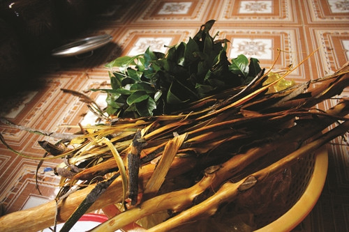 Thân và lá cây Hiam, nguyên liệu làm men rượu cần Tây Nguyên