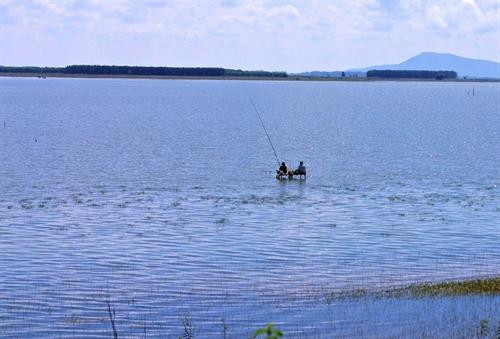 Vẻ quyến rũ của “vịnh không sóng” Hồ Dầu Tiếng ảnh 10