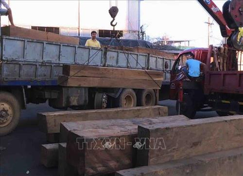 Số gỗ bị Công an tỉnh Đắk Lắk bắt giữ. Ảnh: TTXVN phát Số gỗ bị Công an tỉnh Đắk Lắk bắt giữ. Ảnh: TTXVN phát