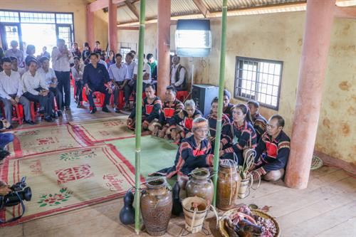 Trước khi làm Lễ mừng lúa mới, thầy cúng làm Lễ đưa hồn lúa về nhà kho và xin phép thần lúa cho người dân được gặt lúa đem về kho. Người thu hoạch lúa phải vuốt bằng tay để không làm cây lúa bị đau, thần lúa mới ở lại với gia chủ Sau đó, thầy cúng đặt các lễ vật về phía Đông và thực hiện các nghi thức rước lúa với mong muốn mong mùa rẫy mới mưa thuận gió hòa, mùa màng tươi tốt Sau khi làm lễ xong, thầy cúng mời người phụ nữ là chủ ruộng lúa uống rượu cần. Theo phong tục, người uống phải say, rượu cần phải cạn thì vụ mùa năm sau sẽ càng nhiều lúa. Sau phần lễ rước hồn lúa về kho, người dân tổ chức dã gạo để lựa ra những hạt gạo tốt nhất Những âm thanh gọi thần lúa về kho Sau khi mọi lễ vật đã chuẩn bị đầy đủ, thầy cúng thực hiện nghi thức cúng các vị thần linh ở kho lúa mới để tạ ơn thần Đất - Trời, Núi - Rừng. Tiếp đó là Lễ cúng lúa mới và cúng sức khỏe cho già làng với đầy đủ các lễ vật: cơm lúa mới, rượu cần, heo, gà... Thầy cúng khấn niệm với mong muốn cầu chúc mọi người sức khỏe, gia đình hạnh phúc, mùa màng bội thu. Sau khi cúng xong, thầy cúng mời người nữ, chủ ruộng lên uống rượu cần. Phần lễ vật và rượu cần còn lại được chia cho tất cả những người được mời tham dự.. . Người dân và du khách cùng chung vui Múa hát quanh cây nêu trong ngày hội ... cồng chiêng "Mừng lúa mới được mùa" kết hợp với những điệu múa xoang đầy uyển chuyển trong "Mọi người ơi, hòa cùng nhịp xoang Gia Rai" Một hình ảnh không thể thiếu trong các nghi lễ của người Gia Rai chính là biểu tượng của những chú chim, có thể bay lên cao đến xứ sở các thần linh đem theo lời cầu xin của con người.