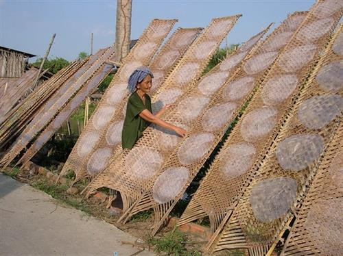 Làng nghề làm bánh tráng Tết cho thu nhập cao ở Cần Thơ ảnh 6 Làng nghề làm bánh tráng Tết cho thu nhập cao ở Cần Thơ ảnh 6