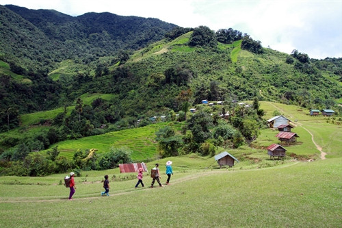 Đến với đại ngàn Ngọc Linh, du khách được thương thức cảnh sắc thiên nhiên tuyệt đẹp va những món ăn đặc trưng của địa phương. Ảnh minh họa: Internet.