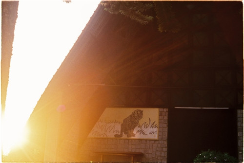 Nhà thờ Cam Ly hay còn gọi là nhà thờ Sơn Cước (đường Nguyễn Khuyến, phường 5, TP Đà Lạt) vừa cổ kính vừa mang trong mình câu chuyện riêng. Nhà thờ này đã được xây dựng và tồn tại 50 năm, trong quá trình hình thành gặp vô vàn khó khăn. Trước đây nhà thờ Cam Ly dành cho đồng bào dân tộc (chủ yếu là người K’ho) nhưng giờ mở rộng ra cho mọi người. Trước cổng nhà thờ có hình hổ và đại bàng, tượng trưng cho sức mạnh, sự bảo vệ và vươn xa. Đường dẫn vào nhà thờ tràn ngập những loài hoa nhỏ xinh. Mái công được xây bằng loại gạch màu cũ xưa theo hình nhà tháp, giống cấu trúc nhà rông của đồng bào Tây Nguyên. Khi bước vào trong nhà thờ, bạn sẽ nhận thấy tràn ngập màu sắc với hình tam giác và hình chữ nhật. Người ta quan niệm hình tam giác tượng trưng cho Yàng - đấng tối cao của đồng bào, cũng là chúa Jesus. Hình vuông là quan niệm vũ trụ, trái đất là trung tâm và mọi thứ xoay quanh Trái đất. Phần đầu của nhà thờ cũng được xây dựng trong các khung hình màu sắc, hình Cha đặt làm trung tâm. Điều đặc biệt là trong nhà thờ này, dưới bức tượng của Cha, người ta đặt một cái đầu trâu với ý nghĩa trâu là loài động vật lành tính, siêng năng và trung thành, mong con người cũng hướng về những điều đó. Hơn 60 em nhỏ đang được nuôi dạy tại đây, có em mồ côi, có em được mẹ gửi vào. Mỗi ngày các em vui chơi, học tập, chiều đến thì vào nhà thờ đọc kinh. Nhà thờ Cam Ly không được nhiều người biết đến, bởi con người ở đây cũng sống tương đối ẩn dật. Mang trong mình nét màu sắc kiến trúc riêng, những thiết kế, trưng bày đều mang ý nghĩa riêng, nhà thờ Cam Ly vừa cũ vừa mới lại vừa ấm áp tình người. Nhà thờ Cam Ly (chấm đỏ) trên bản đồ. Ảnh: Google Map.