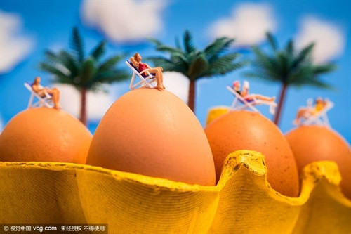 Nhiếp ảnh gia người Scotland David Gilliver đã đưa công chúng được bước chân vào thế giới của những người tí hon. (Nguồn: CCTVNews)