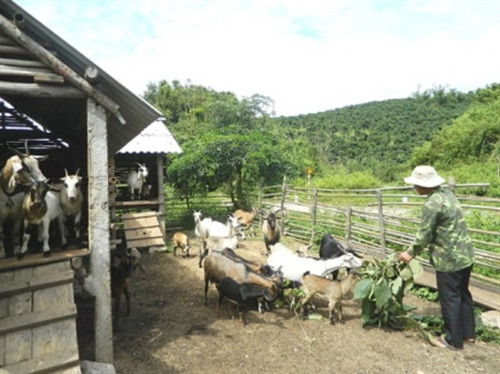 Ảnh minh họa Ảnh minh họa