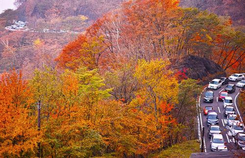 Tên gọi của địa danh này được tạo thành từ hai yếu tố. Trong đó, "i-ro-ha" là ba ký tự đầu tiên trong bảng chữ cái 48 ký tự của tiếng Nhật trước đây; "zaka" có nghĩa là "độ dốc". Ảnh: IkidaneNippon. Con đèo được đặt tên như vậy bởi nó có 48 khúc cua, cũng là số lượng chữ trong bảng chữ cái Nhật Bản. Mỗi khúc cua được đặt tên với một ký tự tương ứng. Ảnh: IkidaneNippon. Những đoạn đường đầu tiên được xây dựng vào năm 1954 và 1965. Đến nay, dù con đường đã được hiện đại hóa và nới rộng nhưng số lượng khúc cua vẫn giữ nguyên. Đây là tuyến đường duy nhất nối thành phố Nikko với vùng Oku-nikko. Ảnh: Japankuru. Đèo Irohazaka vào mùa thu nhìn từ vệ tinh. Ảnh: Google Maps. Hiện nay, con đường Irohazaka thứ nhất là lối đi xuống với 28 khúc cua có điểm dừng chân ngắm khung cảnh hai thác nước. Ảnh: Itchy Feet. Đường Irohazaka thứ hai có 20 khúc cua, chỉ dành cho các phương tiện đi lên cao nguyên Akechidaira. Ảnh:IkidaneNippon. Tuyến cáp treo đưa du khách từ bãi đỗ xe ở cao nguyên đến đài quan sát Akechidaira trong 3 phút với giá 750 yên (khoảng 150.000 đồng). Ảnh: IkidaneNippon. Từ đây, du khách có thể thấy núi Nantai, hồ Chuzenji và thác Kegon. Đây là nơi tốt nhất để nhìn ngắm vẻ đẹp lộng lẫy của thiên nhiên. Thời gian phổ biến nhất để đến Irohazaka là mùa thu, từ giữa tháng 10 đến đầu tháng 11 khi lá cây bắt đầu thay đổi màu sắc. Ảnh: AmusingPlanet. Một đoạn đèo Irohazaka nhìn từ trên cao. Ảnh: Pinterest. Thông thường, mất khoảng 20 đến 30 phút lái xe để đi hết con đèo Irohazaka. Nhưng vào dịp cuối tuần, lượng du khách đổ về đây tham quan rất đông khiến thời gian có thể lên tới 4 giờ. Ảnh: Ảnh: IkidaneNippon. Toàn cảnh vùng núi của tỉnh Tochigi. Ảnh: AmusingPlanet.