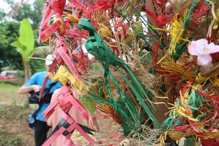 Con chim, con cá và con ve trên cây vạn vật (sắng chá).