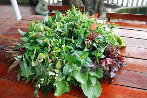 Gỏi lá Kon Tum - hương vị lan tỏa của núi rừng Tây Nguyên ảnh 7 Gỏi lá Kon Tum - hương vị lan tỏa của núi rừng Tây Nguyên ảnh 7