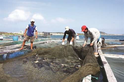 Ảnh minh họa- TTXVN Ảnh minh họa- TTXVN
