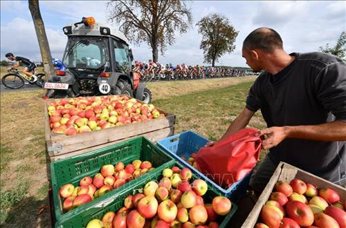 Ảnh minh họa Ảnh: TTXVN Ảnh minh họa Ảnh: TTXVN