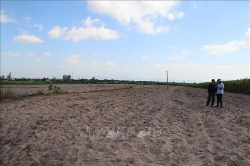 Khu tái định cư mới tại thôn Thắng Lợi 3 mà xã Ia Sol lập phương án dự kiến di dời 30 hộ dân người Jrai làng Suối Cạn về ở tập trung. Ảnh: Hồng Điệp - TTXVN Khu tái định cư mới tại thôn Thắng Lợi 3 mà xã Ia Sol lập phương án dự kiến di dời 30 hộ dân người Jrai làng Suối Cạn về ở tập trung. Ảnh: Hồng Điệp - TTXVN