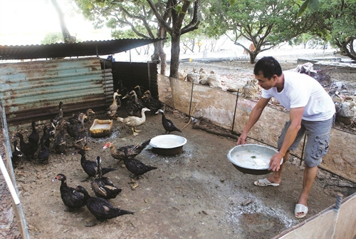 Một góc xã đảo Song Tử Tây Hệ thống điện gió trên đảo Song Tử Tây Lớp học ở xã đảo Song Tử Tây, nơi “ươm mầm” cho các thế hệ tương lai ở Trường Sa Chăn nuôi gia cầm góp phần đảm bảo dinh dưỡng cho các bữa ăn Các chiến sĩ tập thể dục, thể thao, rèn luyện sức khỏe vào buổi chiều hàng ngày Một góc xã đảo Song Tử Tây Hệ thống điện gió trên đảo Song Tử Tây Lớp học ở xã đảo Song Tử Tây, nơi “ươm mầm” cho các thế hệ tương lai ở Trường Sa Chăn nuôi gia cầm góp phần đảm bảo dinh dưỡng cho các bữa ăn Các chiến sĩ tập thể dục, thể thao, rèn luyện sức khỏe vào buổi chiều hàng ngày