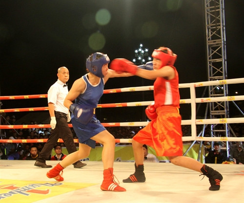 Các võ sỹ đang thi đấu