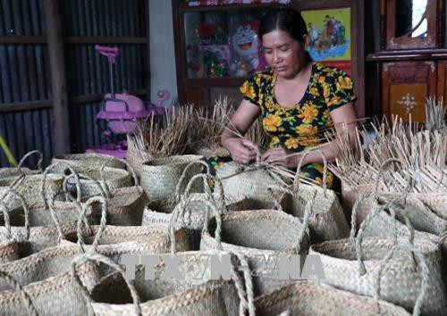 Hộ chị Thị Đấp huyện Giang Thành (Kiên Giang) vay vốn ngân hàng chính sách làm nghề đan giỏ bàng truyền thống. Ảnh: Lê Huy Hải - TTXVN Hộ chị Thị Đấp huyện Giang Thành (Kiên Giang) vay vốn ngân hàng chính sách làm nghề đan giỏ bàng truyền thống. Ảnh: Lê Huy Hải - TTXVN
