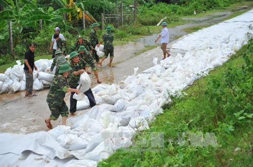 Bộ đội kè lại những tuyến đê xung yếu bị dò nước. Ảnh: Minh Đức - TTXVN Bộ đội kè lại những tuyến đê xung yếu bị dò nước. Ảnh: Minh Đức - TTXVN