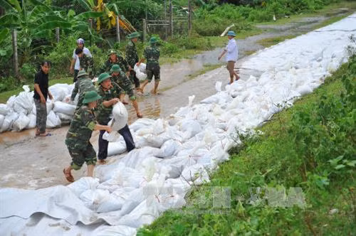 Bộ đội kè lại những tuyến đê xung yếu bị dò nước. Ảnh: Minh Đức - TTXVN