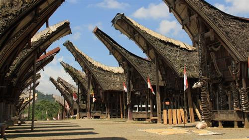 Vào tháng 8 hàng năm, người dân Toraja ở Indonesia đào thi hài người quá cố lên, thay quần áo mới, tắm rửa và sửa lại quan tài cho họ. Sau đó, họ giữ xác chết đứng thẳng và cho đi bộ về nhà. Tiếp đến họ đặt xác vào quan tài rồi mang đến nơi chôn cất như cũ. Nghi lễ này có tên là Manene. Trong ảnh là nhà ở của người Toraja. Ảnh: Wp. Vào tháng 8 hàng năm, người dân Toraja ở Indonesia đào thi hài người quá cố lên, thay quần áo mới, tắm rửa và sửa lại quan tài cho họ. Sau đó, họ giữ xác chết đứng thẳng và cho đi bộ về nhà. Tiếp đến họ đặt xác vào quan tài rồi mang đến nơi chôn cất như cũ. Nghi lễ này có tên là Manene. Trong ảnh là nhà ở của người Toraja. Ảnh: Wp.