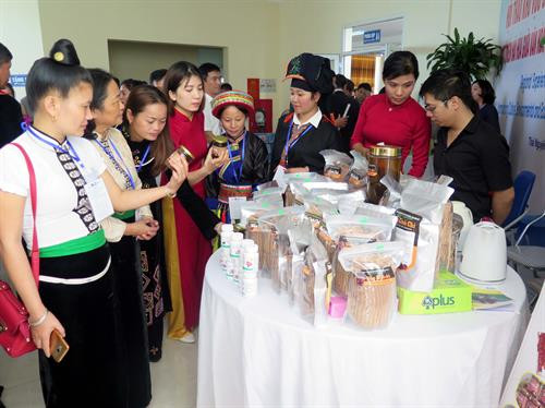 Việt Nam chia sẻ kinh nghiệm xây dựng chính sách hỗ trợ lao động việc làm cho người dân tộc thiểu số ảnh 10