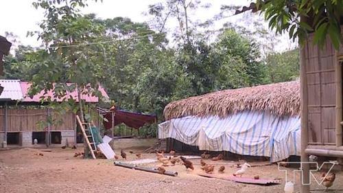 Cuối năm 2017, gia đình anh Phạm Mạnh Hùng ở bản Trải 2 đã mạnh dạn đầu tư khu giết mổ tập trung đảm bảo các điều kiện về an toàn vệ sinh thực phẩm và bảo vệ môi trường, công suất giết mổ 25 con lợn mỗi ngày, đủ phục vụ nhu cầu cho 5 hộ kinh doanh giết mổ. Ảnh: truyenhinhthanhhoa.vn