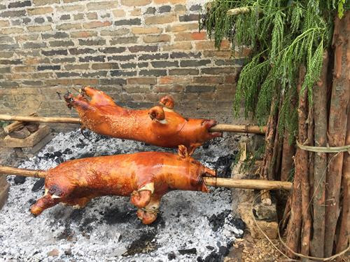 Lợn quay lúc chín