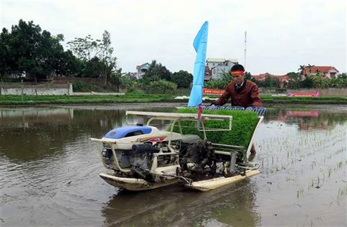 Trình diễn máy nông nghiệp cấy lúa tại lệ hội. Ảnh: Thu Hằng - TTXVN