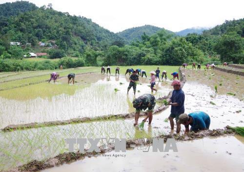Bộ đội Đồn Biên phòng Sen Thượng (huyện Mường Nhé) tham gia giúp dân sản xuất nông nghiệp. Ảnh: Xuân Tiến - TTXVN Bộ đội Đồn Biên phòng Sen Thượng (huyện Mường Nhé) tham gia giúp dân sản xuất nông nghiệp. Ảnh: Xuân Tiến - TTXVN